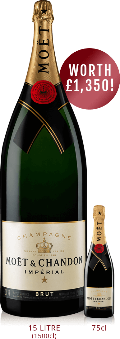 Overweldigend Relatie nevel Win a 15-litre bottle of Moët & Chandon Brut Imperial Champagne! : The  Whisky Exchange